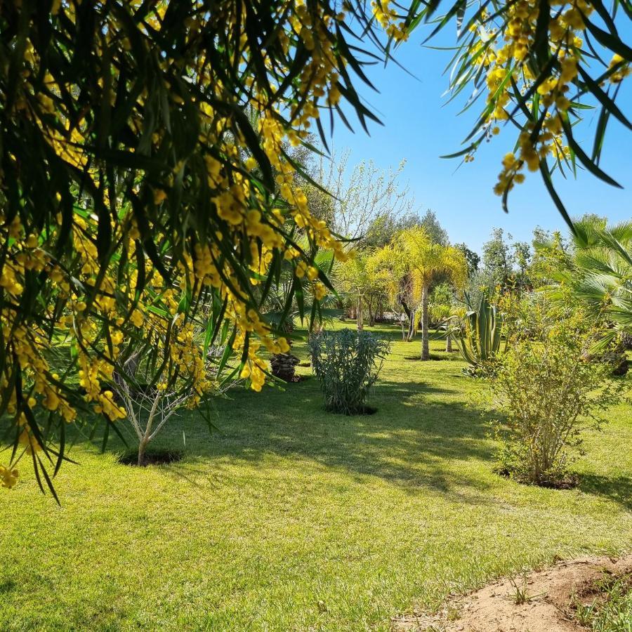 Riad Les Deux Citronniers Marrakesh Esterno foto