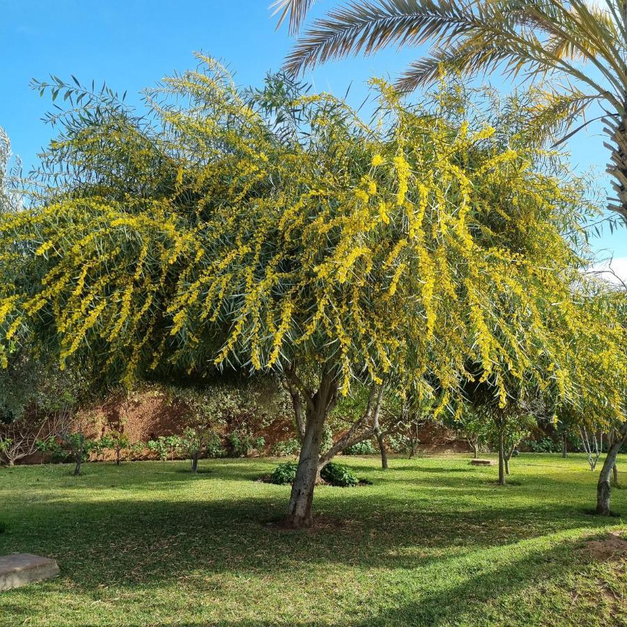 Riad Les Deux Citronniers Marrakesh Esterno foto